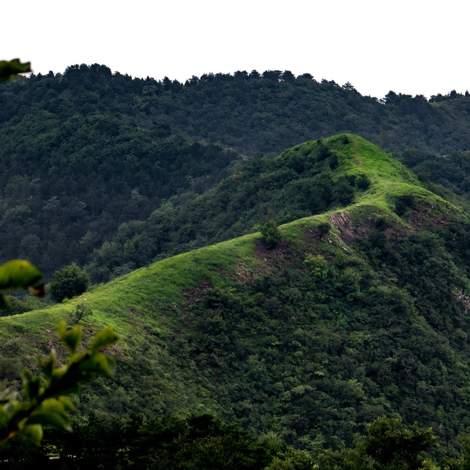 Vistas Campos d' Arenal