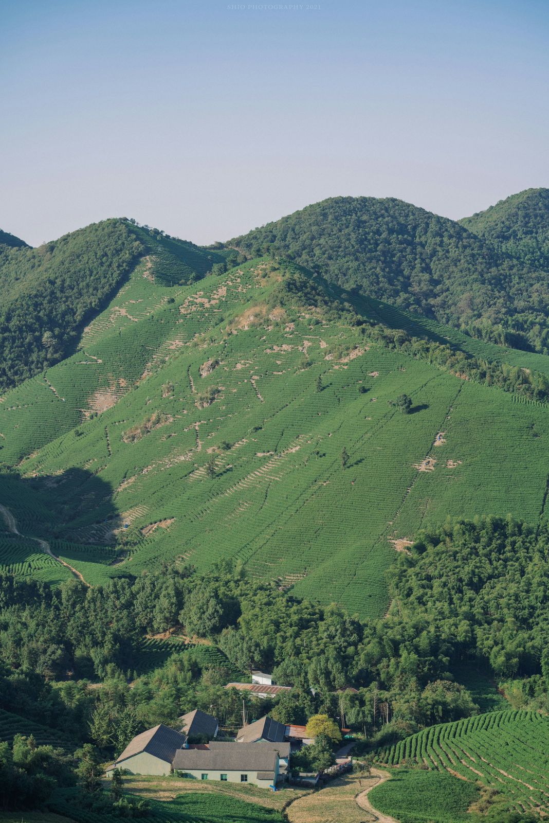 Diseño Campos d' Arenal