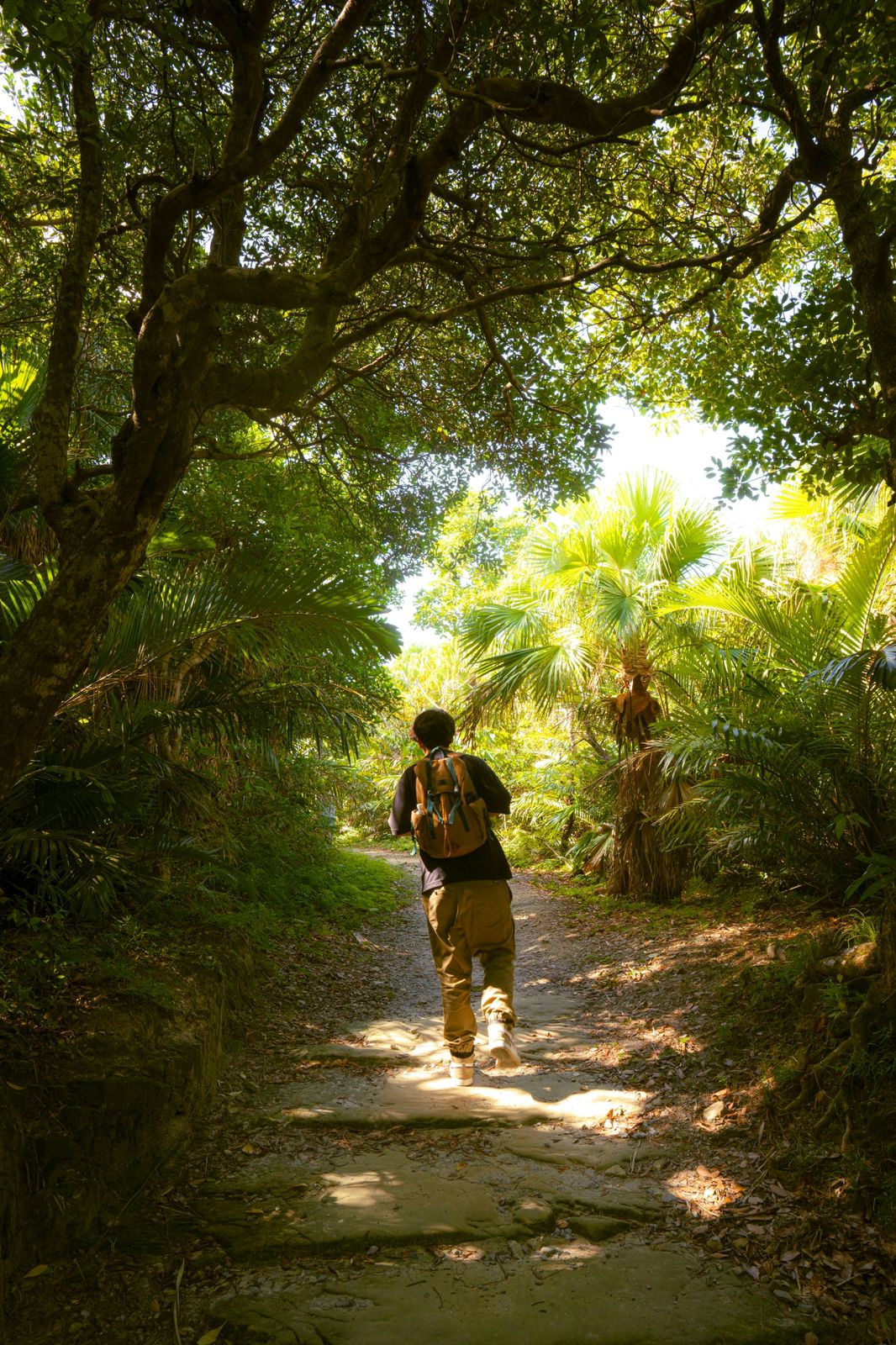 Caminatas por senderos naturales