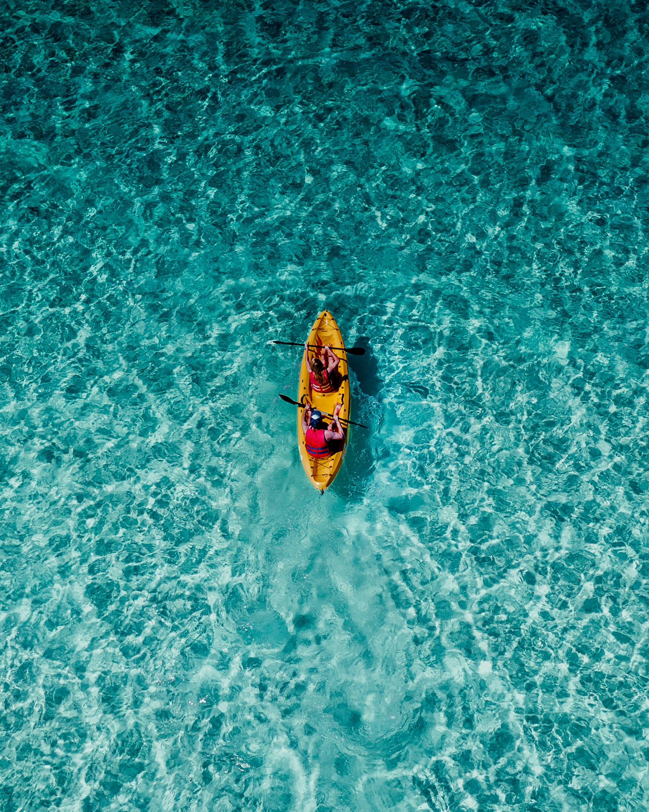 Actividades acuáticas en el océano