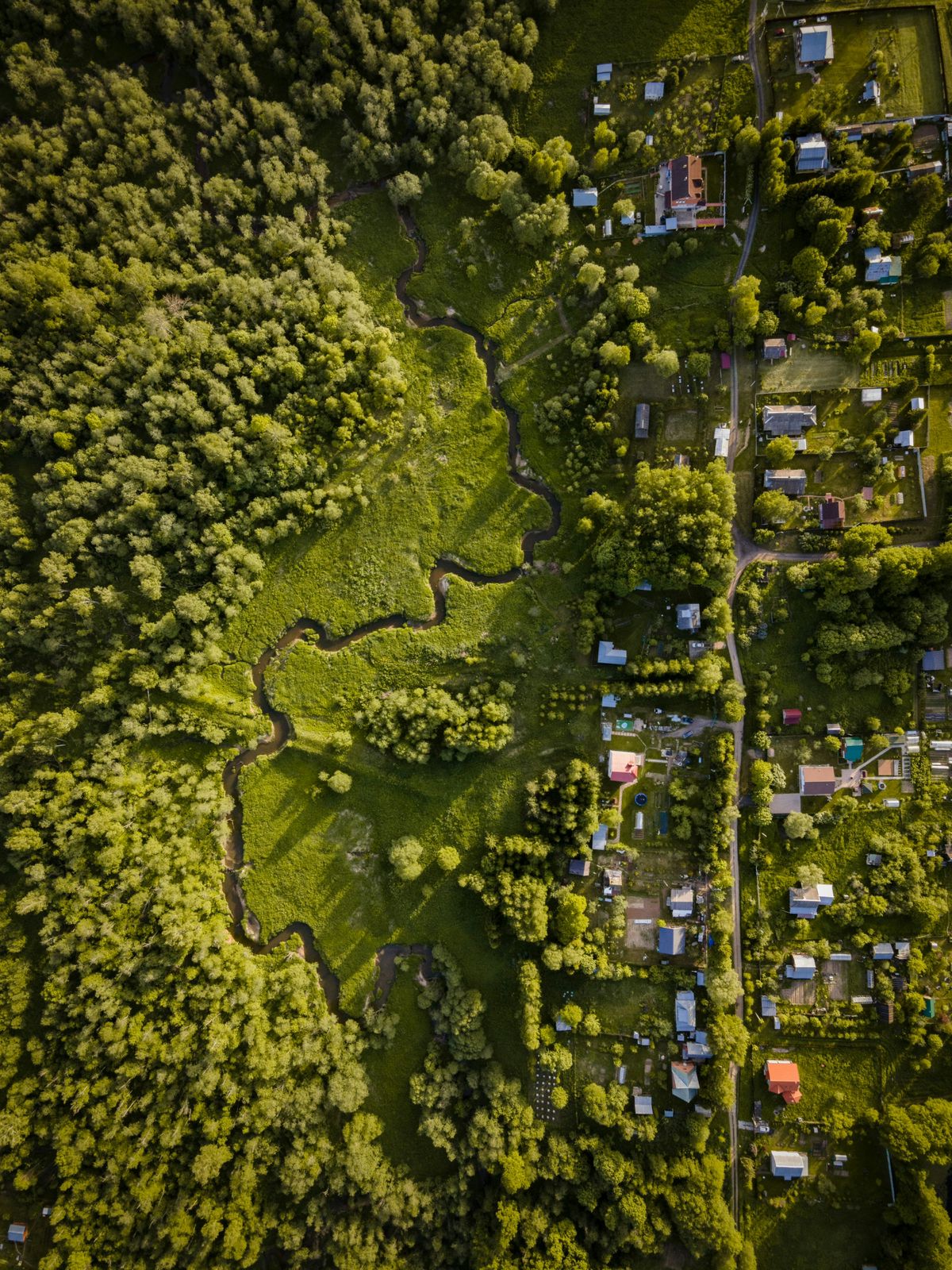 Visión de futuro - Crecimiento sostenible